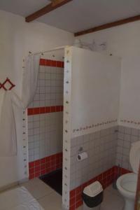 een badkamer met een douche en een toilet bij Pousada Malea in Icaraí