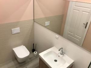W łazience znajduje się umywalka, toaleta i lustro. w obiekcie Apartament Weyssenhoffa 9 w Bydgoszczy