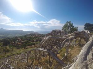 Gallery image of Dimitri Ada Evi & Restaurant in Gokceada Town +48 photos