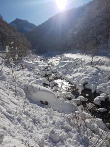 Príroda v okolí horskej chaty