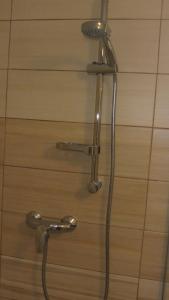 prysznic w łazience z głowicą prysznicową w obiekcie Penzion U Žabáka w mieście Mikulov