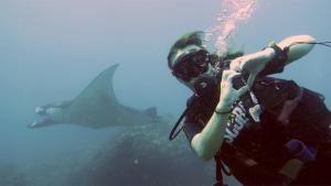 eine Person, die im Wasser mit einem Hai im Hintergrund steht in der Unterkunft Absolute Scuba Bali Dive Resort in Padangbai