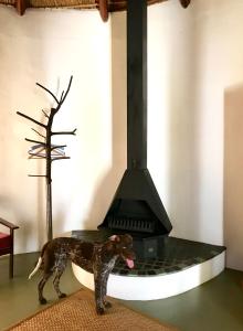 Fotografie z fotogalerie ubytování Fisaasbos v destinaci Tulbagh