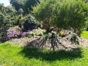 un jardin avec des fleurs et des arbres dans l'herbe dans l'établissement Apartamento Sopiedra, à Nueva de Llanes