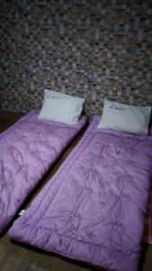 two purple beds sitting next to each other at Gumi A Motel in Gumi