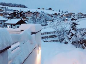 Haus Elisabeth during the winter