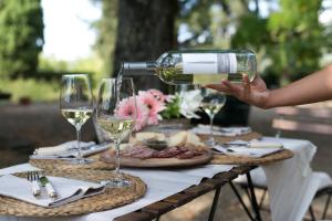 una persona che versa vino in bicchieri su un tavolo da picnic di Casa Marina a Greve in Chianti
