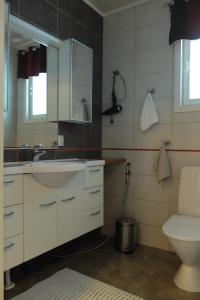 a bathroom with a sink and a toilet at Villa Saaruanniemi B in Ruka