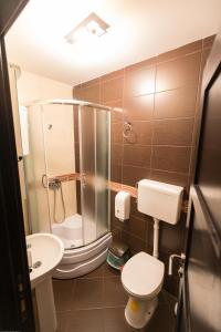 a small bathroom with a toilet and a shower at Divčibarski Vajati in Divčibare