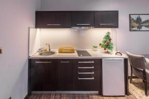 a kitchen with a sink and a counter at Divčibarski Vajati in Divčibare