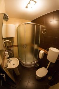 a bathroom with a shower and a toilet and a sink at Divčibarski Vajati in Divčibare