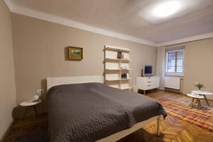 盧比安納的住宿－Jager Apartments Tour As Ljubljana，一间卧室配有一张床、一张书桌和一台电视