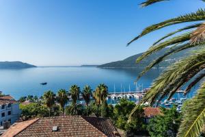 a view of a body of water with palm trees at Apartments Stanisic in Herceg-Novi