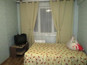 アルハンゲリスクにあるTimme 24 Apartmentのベッドルーム(ベッド1台、テレビ、窓付)
