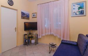 Televízia a/alebo spoločenská miestnosť v ubytovaní Okuklje Holiday Home