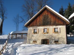 Etno House Gosteče- Suite with Finnish sauna v zimě