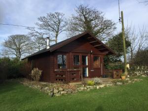 a small log cabin with a grass yard at Bodnolwyn Wen in Llanbabo