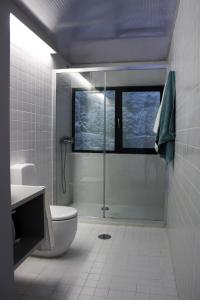 Un baño con ducha, inodoro y ventana. en Bonjardim Flats - T1 + 1 com terraço, en Oporto