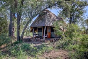 a small hut with a thatched roof in the woods at Pungwe Safari Camp in Manyeleti Game Reserve