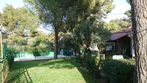Vonkajšia záhrada v ubytovaní Villa Chabola