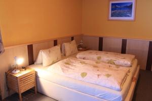 a small bedroom with two beds and a night stand at Josef Pixner in Sölden