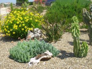 A garden outside Masseria La Gravina