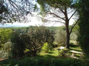 Fotografie z fotogalerie ubytování Lou Ventoulet v destinaci Mouriès + 9 fotografií