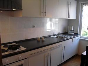 une cuisine avec un évier et un plan de travail dans l'établissement Assmanns Ferienwohnungen Ost, à Miltenberg 4 autres photos