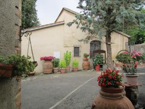 Un mucchio di piante in vaso davanti a un edificio. di Agriturismo Il Colto a San Gimignano