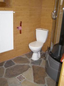 a bathroom with a white toilet in a room at El Stefano Srl in Cavnic