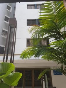 a building with a palm tree in front of it at Rosa Branca Facilities Apartamentos in Maceió