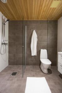 uma casa de banho com um WC e uma cabina de duche em vidro. em Aurora City Center Suite em Rovaniemi
