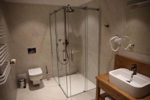 a bathroom with a shower and a sink and a toilet at Dwór Kukuczka in Istebna +22 photos