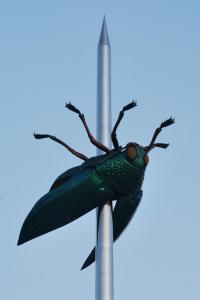 Un insetto seduto su un palo di Nena Guesthouse a Lovanio Altre 2 foto