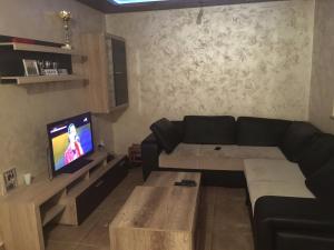 Una sala de estar con un sofá negro y un televisor. en Prle Apartment, en Novi Sad
