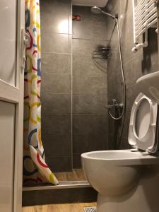 un bagno con wc e doccia di Heart of Old Tbilisi Apartments 2 a Tbilisi City