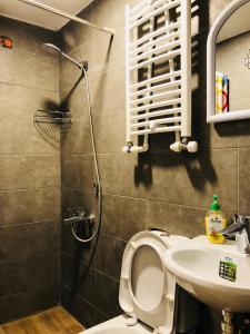 uma casa de banho com um WC, um lavatório e um chuveiro em Heart of Old Tbilisi Apartments 2 em Tbilisi