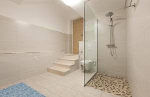 a bathroom with a walk in shower and a toilet at Villa Podgorka in Podgora +120 photos