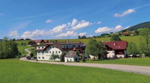 a group of houses on a hill with a road at Erlachmühle in Mondsee