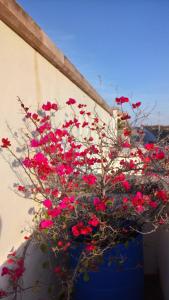 Fotografie z fotogalerie ubytování Suites Sta Tere v destinaci San Juan de los Lagos