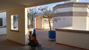 Fotografie z fotogalerie ubytování Suites Sta Tere v destinaci San Juan de los Lagos