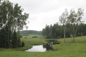 a river in the middle of a field with trees at Zirgu sēta "Klajumi" - Horse ranch "Klajumi" in Kaplava