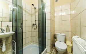 a bathroom with a shower and a toilet and a sink at Willa Strumyk in Karpacz