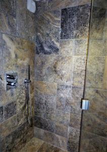 a shower with a glass door in a bathroom at Domaine des Maréquiers chambre Pimprenelle in Saint-Germain-du-Teil