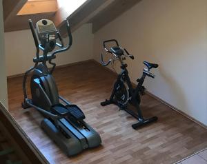 a gym with two exercise bikes in a room at SORAT Insel-Hotel Regensburg in Regensburg