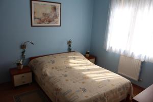 a bedroom with a bed in a blue room at Apartment Jola in Pobierowo