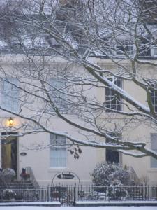 una casa con nieve en las ramas de un árbol en The Townhouse en Perth