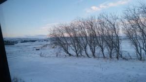 Skyggnir Bed and Breakfast om vinteren