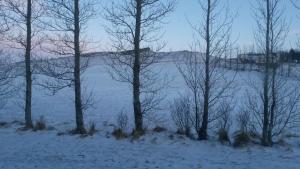 Naturlandskabet i nærheden af bed and breakfast-stedet