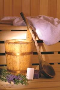 Gallery image of Hotel Lawine in Todtnau